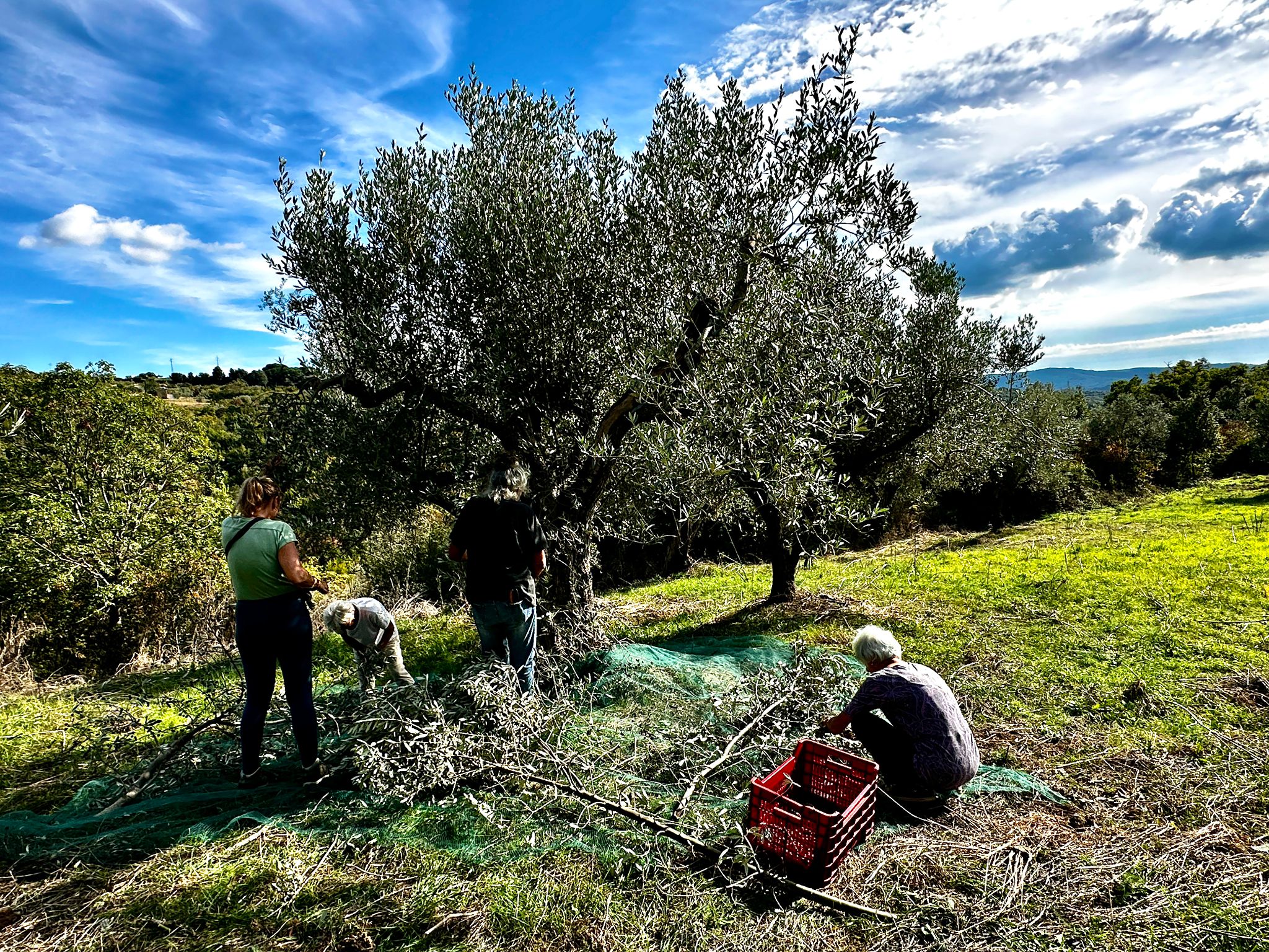 Podere Buriano Monterotondo Marittimo Toskana