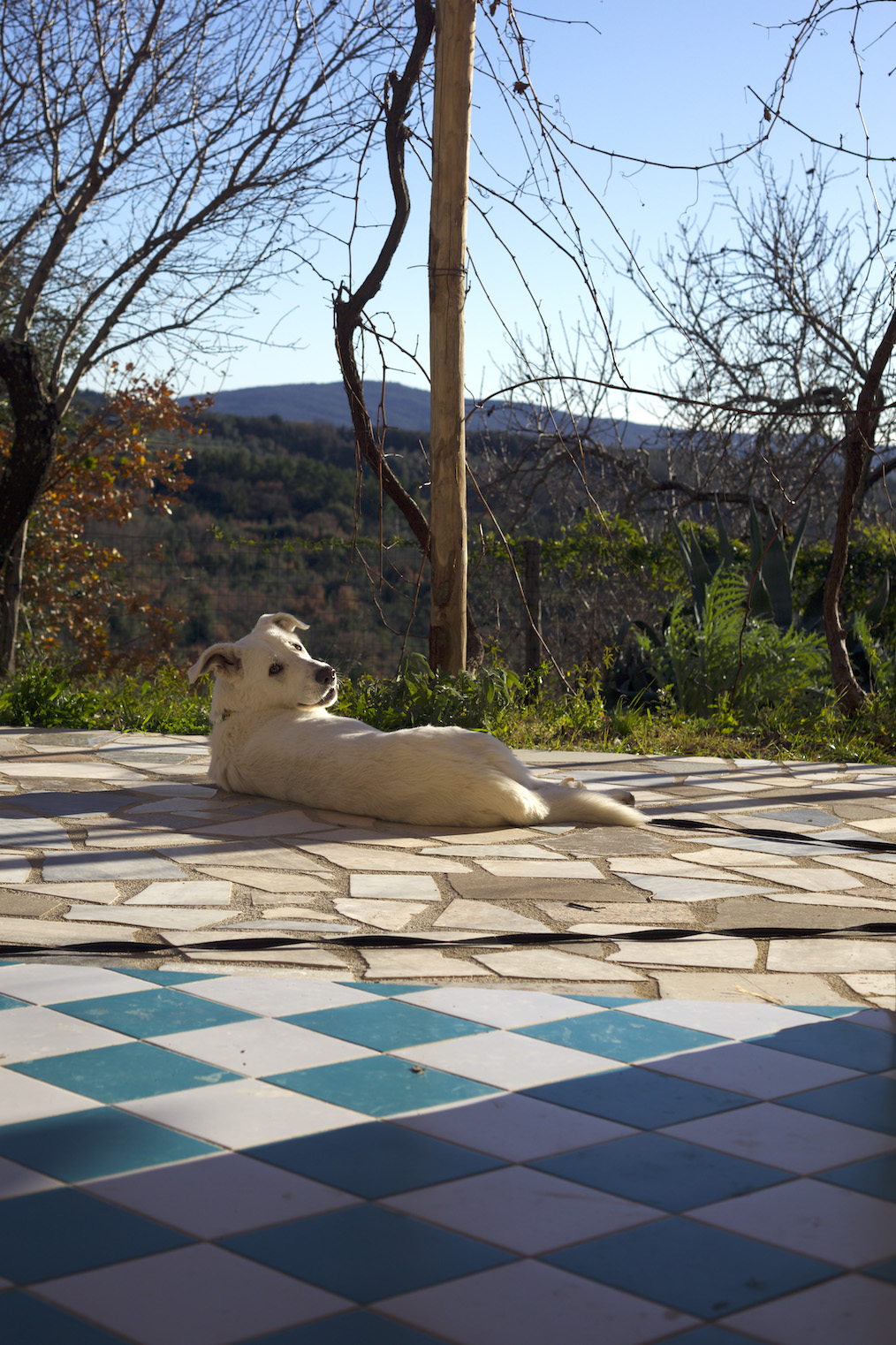 Podere Buriano Monterotondo Marittimo Toskana