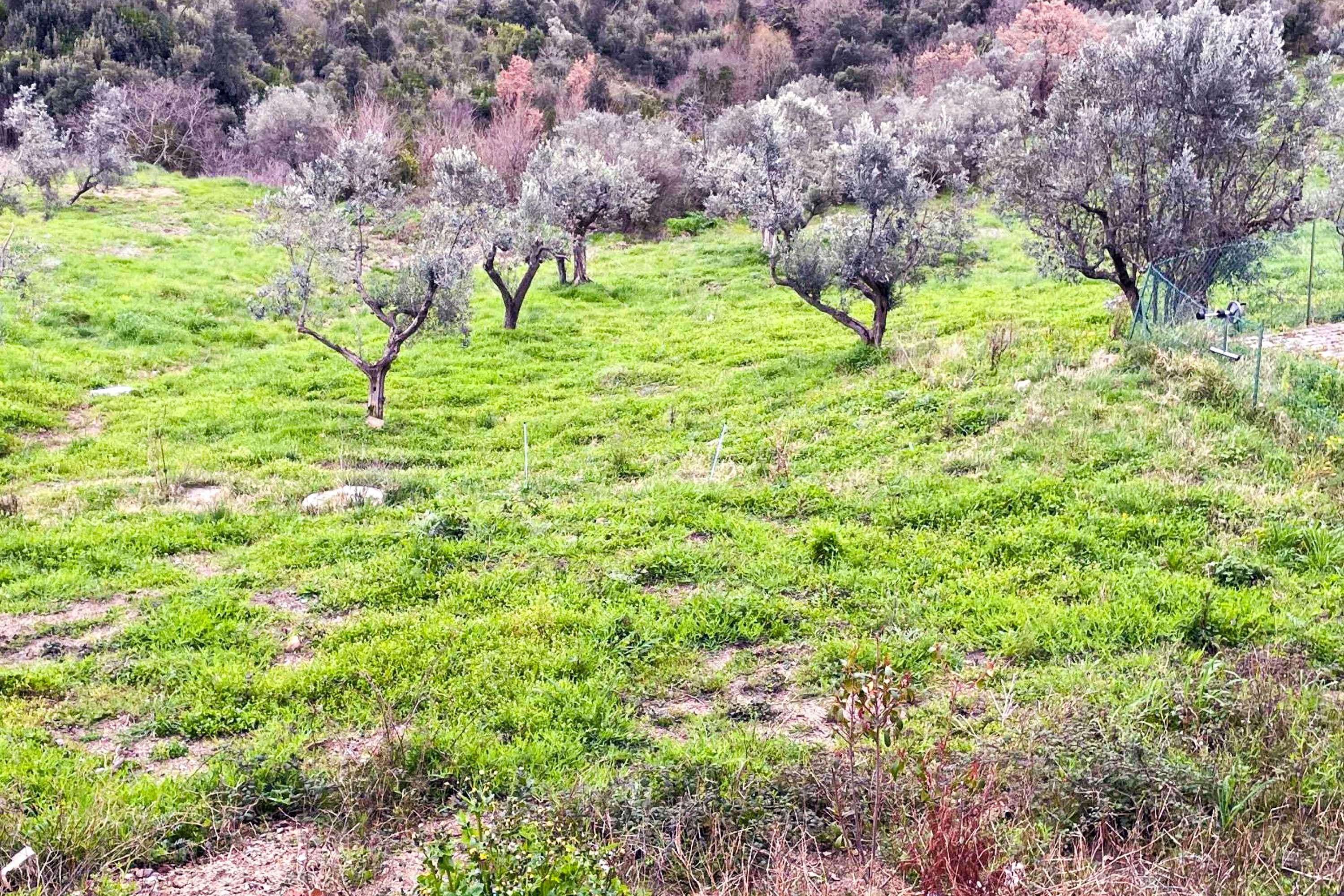 Podere Buriano Monterotondo Marittimo Toskana